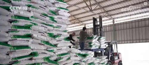 打通農(nóng)資供應(yīng)“最后一公里”，為新一季糧食生產(chǎn)開好頭、起好步